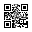 QR CODE 596