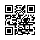 QR CODE 110