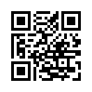 QR CODE 133