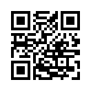 QR CODE 316