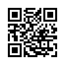 QR CODE 317