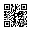 QR CODE 329