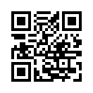 QR CODE 336