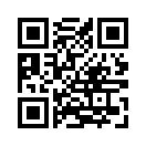 QR CODE 394