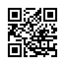 QR CODE 53