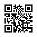 QR CODE 316