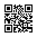 QR CODE 317