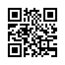 QR CODE 353