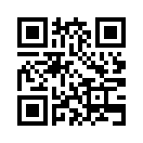 QR CODE 501