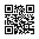 QR CODE 737