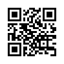 QR CODE 21