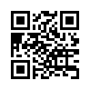 QR CODE 24