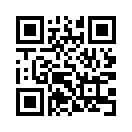 QR CODE 53