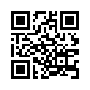 QR CODE 110