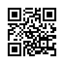 QR CODE 133