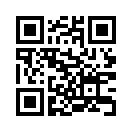 QR CODE 53