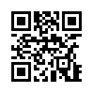 QR CODE 58