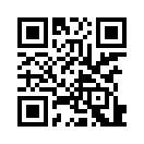 QR CODE 394