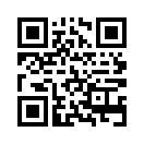 QR CODE 448