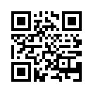 QR CODE 461