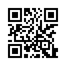 QR CODE 529