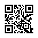 QR CODE 538