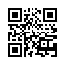 QR CODE 110