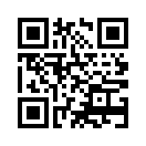 QR CODE 42