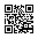 QR CODE 53