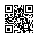 QR CODE 4833