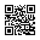 QR CODE 89