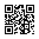 QR CODE 31