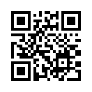 QR CODE 42