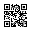QR CODE 1238
