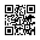QR CODE 1333