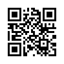 QR CODE 305