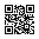 QR CODE 31