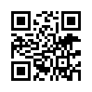 QR CODE 394