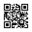 QR CODE 515