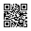 QR CODE 856