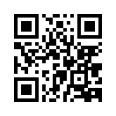 QR CODE 913