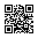 QR CODE 993