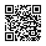 QR CODE 316