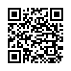 QR CODE 317