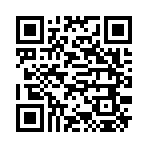 QR CODE 329