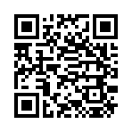 QR CODE 334