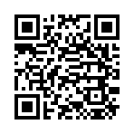 QR CODE 336
