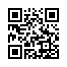 QR CODE 1238