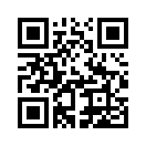 QR CODE 1333