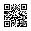 QR CODE 1337